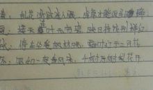 春夏秋冬的成语