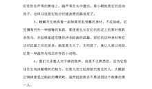 背影好词好句摘抄