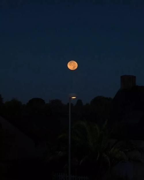 生活领域的名言