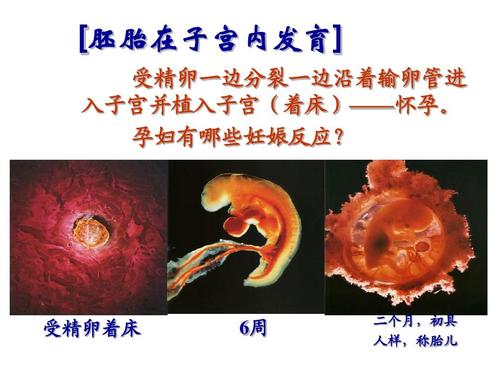 宣告新生的好句子