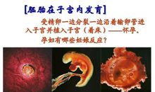 新生命的诞生的好句子