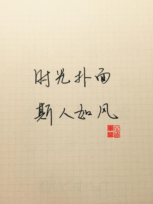 更多令人震惊和鼓舞人心的句子