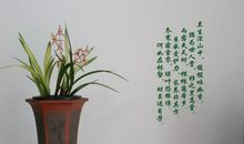 兰花的诗句