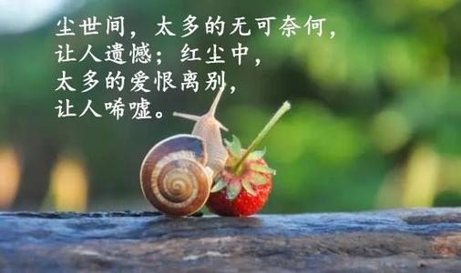 关于爱情的著名谚语和哲学