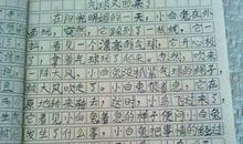 描写人物爱好的片段