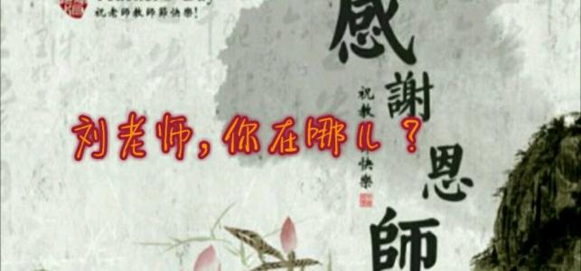 向老师经典句致敬