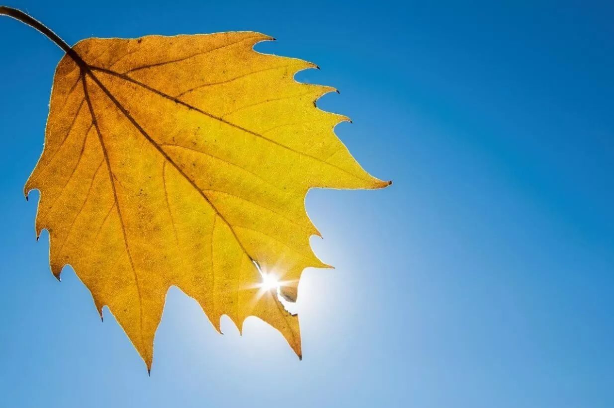 十月你好漂亮的句子，说说