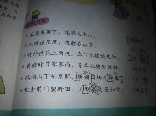 教育好单词和句子