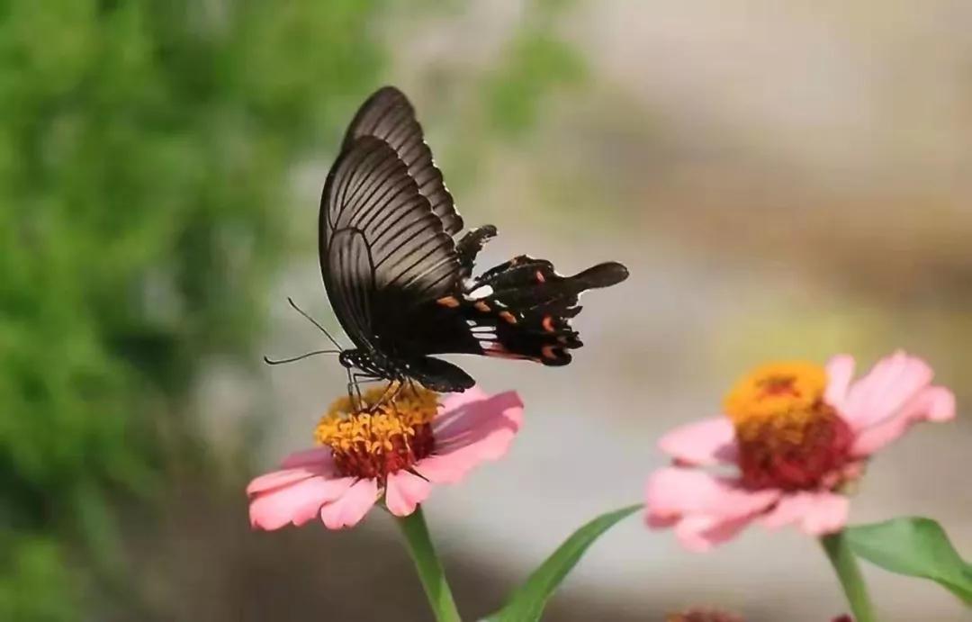 十月你好美丽的句子，谈论1