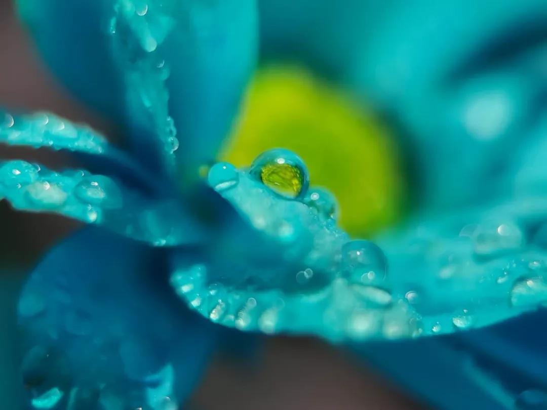 十月你好漂亮的句子，说说2