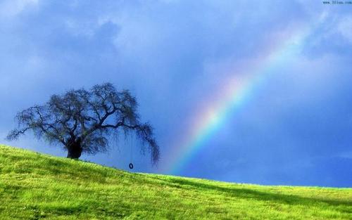 一句话描述雨后的彩虹