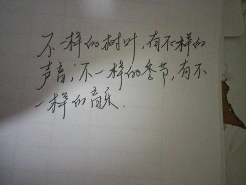 美丽的句子描述自然