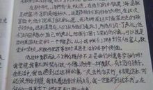 描写看书的句子