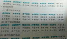 介绍女生外貌的句子