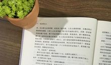 浅绿小说经典句子