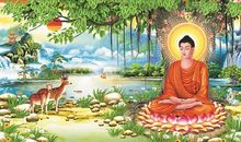 悉达多经典句子