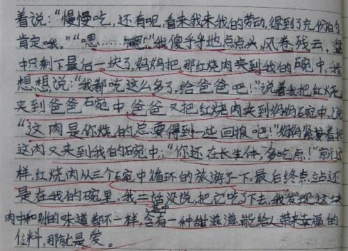 关于家庭的段落