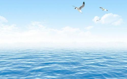 描述海洋的单词百科全书