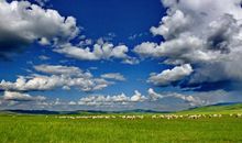 描写大草原的句子