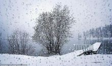 描写冬天的雨的段落