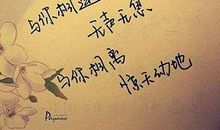 qq心情优美句子