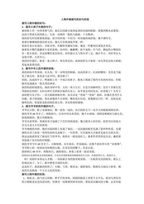 关于外观描述的好句子