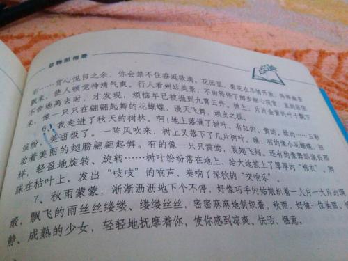 描述团队的句子