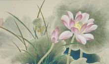 杨万里描写荷花的诗句