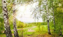 有关春景的句子