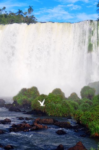 关于瀑布的一段