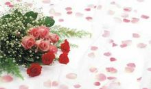 描写婚礼的优美句子