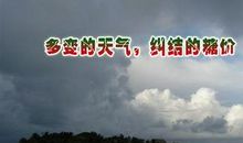 描写天气的唯美句子