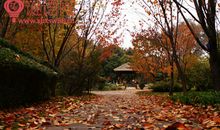 描写秋天的伤感句子