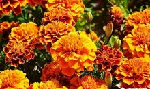 爱格经典语录大全