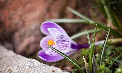 有趣的夏日祝福短信