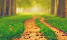 描写落叶的伤感句子