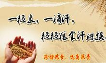 节约的英语名言