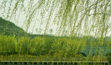 描写春风的诗句古诗