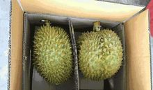 描写榴莲经典句子