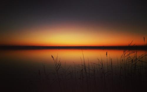 美丽的夜晚句子