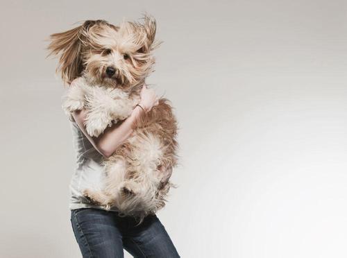 QQ个性签名真相