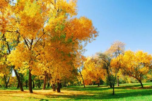 关于秋天的一句话