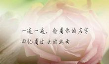 爱情心酸的句子