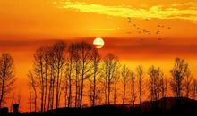 描写夕阳红的诗句