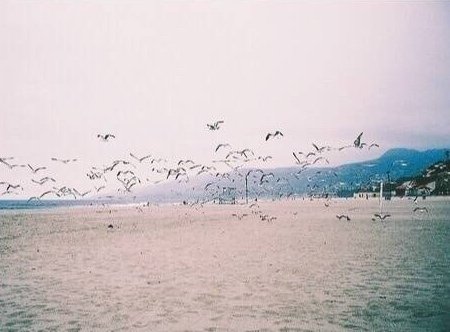 qq谈论心情短语幸福