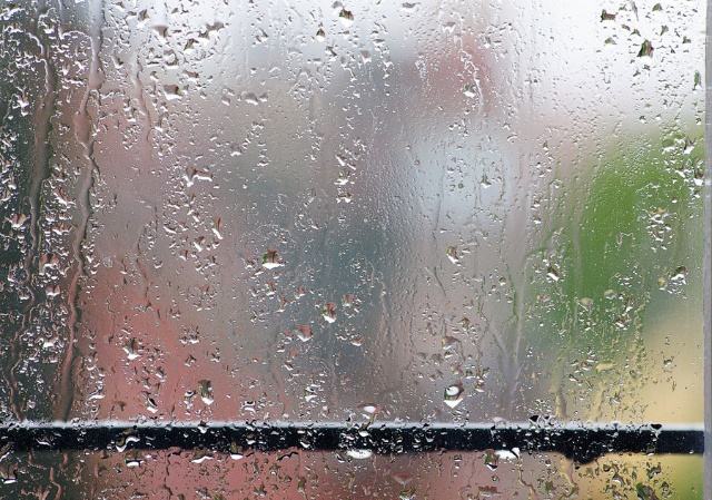 冬雨优美的句子