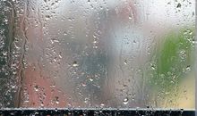 冬天的雨的优美句子