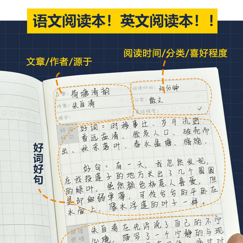 初中良好的单词和句子