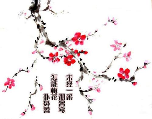 一个很好的部分描述梅花