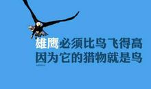 2016年励志的句子